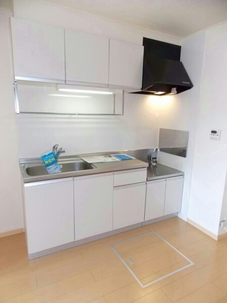 サウスウェーⅠ  2DK・・・101号室