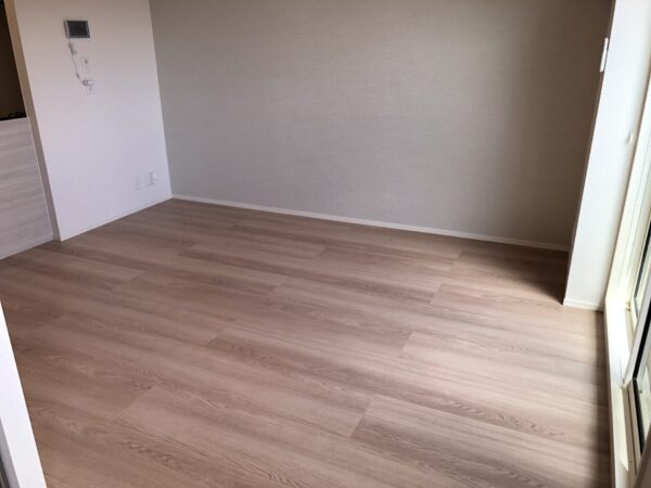 セントラルヴィラⅢ(2LDK)　中部屋