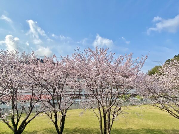 古城町4丁目　中古住宅　4SLDK　駐車場2台　西小、恒中校区