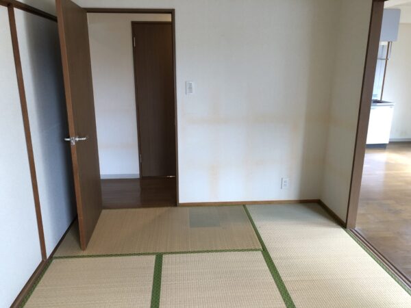 ブルースカイM野田Ⅱ