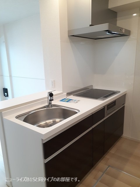 サウスウェーⅨ 2LDK・・・102号室画像