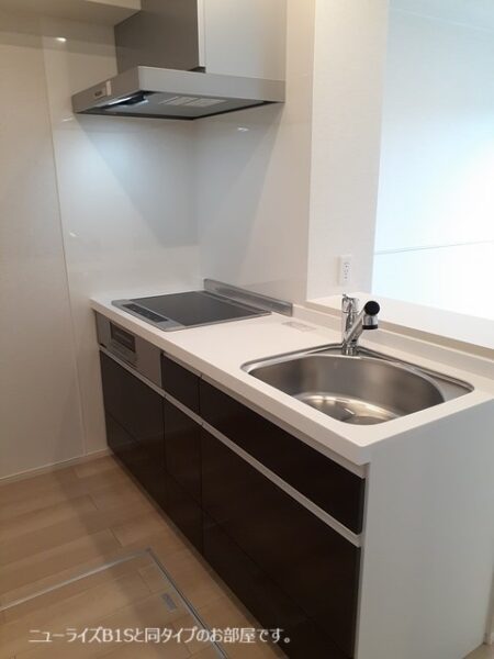 サウスウェーⅨ  2LDK・・・103号室