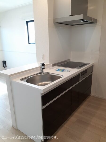 サウスウェーⅨ  3LDK・・・201号室