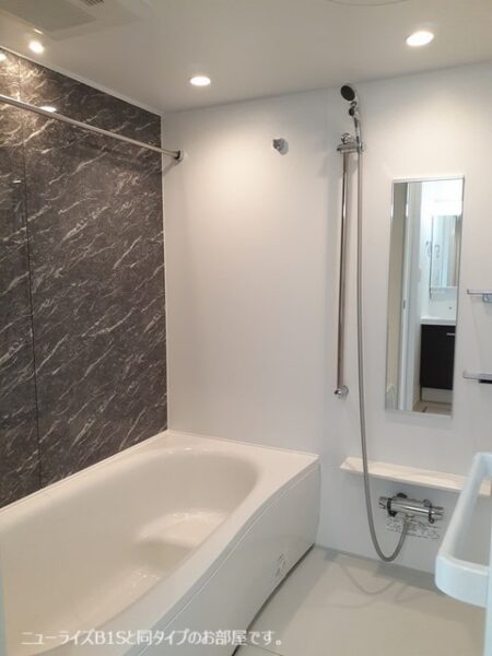 サウスウェーⅨ  3LDK・・・202号室