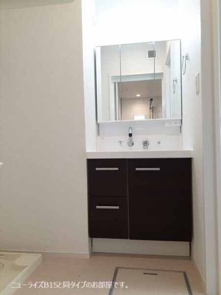 サウスウェーⅨ  3LDK・・・201号室