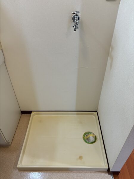 タウニィＫ