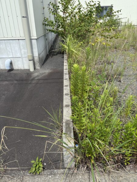 岡富町　土地　約55坪