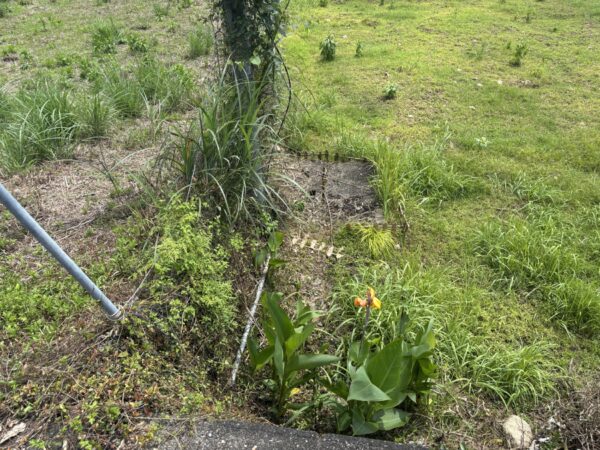 大野町　土地②　約160坪